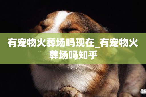 有寵物火葬場嗎現在_有寵物火葬場嗎知乎