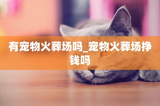有寵物火葬場嗎_寵物火葬場掙錢嗎