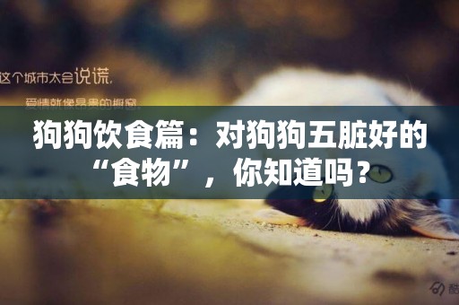 狗狗飲食篇：對狗狗五臟好的“食物”，你知道嗎？ 