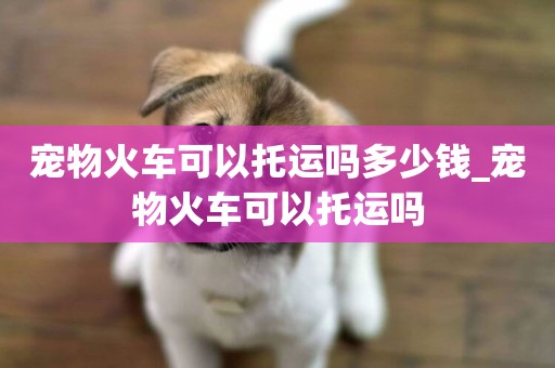 寵物火車可以托運嗎多少錢_寵物火車可以托運嗎