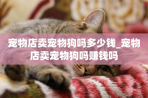 寵物店賣寵物狗嗎多少錢_寵物店賣寵物狗嗎賺錢嗎