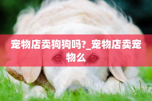 寵物店賣狗狗嗎?_寵物店賣寵物么