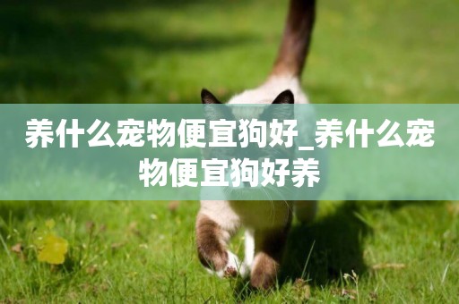 養什么寵物便宜狗好_養什么寵物便宜狗好養