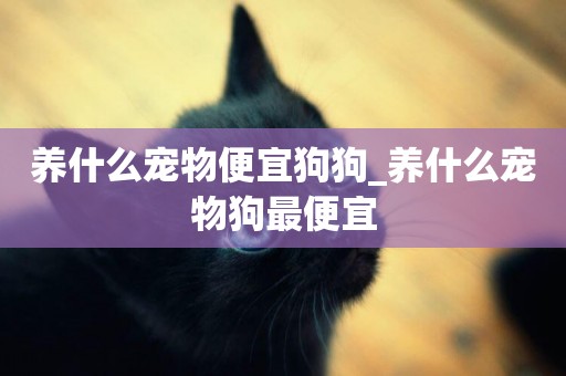 養什么寵物便宜狗狗_養什么寵物狗最便宜