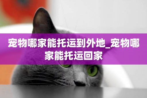 寵物哪家能托運到外地_寵物哪家能托運回家