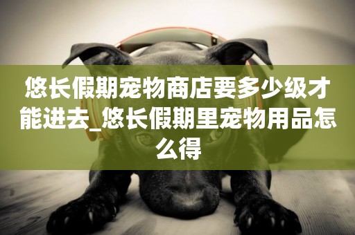 悠長假期寵物商店要多少級才能進去_悠長假期里寵物用品怎么得