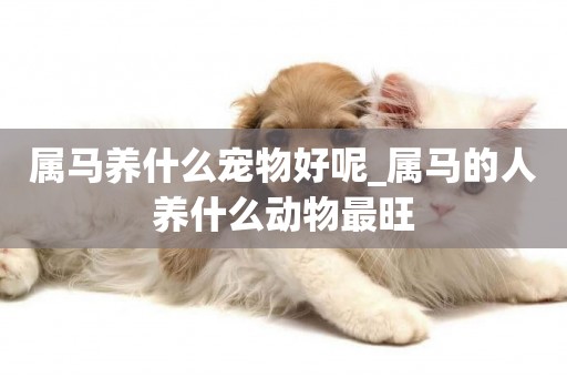 屬馬養什么寵物好呢_屬馬的人養什么動物最旺