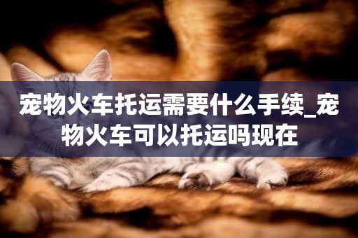 寵物火車托運需要什么手續_寵物火車可以托運嗎現在