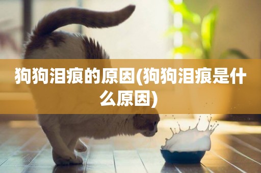 狗狗淚痕的原因(狗狗淚痕是什么原因) 