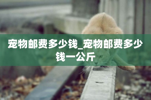 寵物郵費多少錢_寵物郵費多少錢一公斤