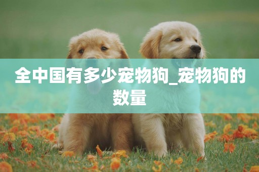 全中國有多少寵物狗_寵物狗的數量