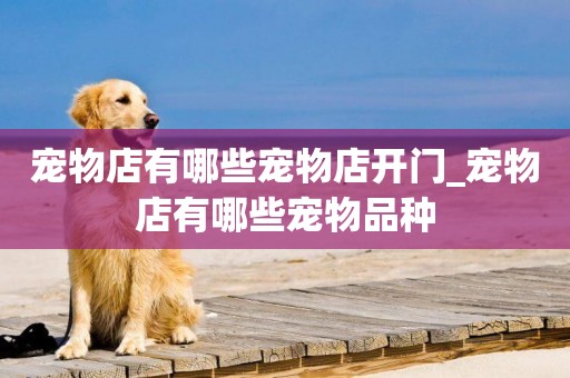 寵物店有哪些寵物店開門_寵物店有哪些寵物品種