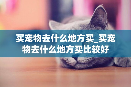 買寵物去什么地方買_買寵物去什么地方買比較好