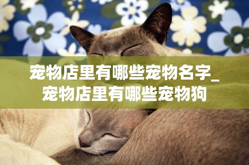 寵物店里有哪些寵物名字_寵物店里有哪些寵物狗