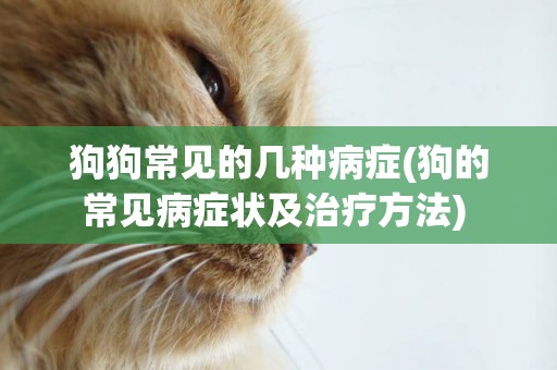 狗狗常見的幾種病癥(狗的常見病癥狀及治療方法) 
