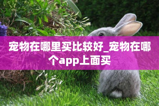 寵物在哪里買比較好_寵物在哪個app上面買