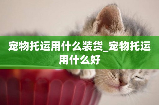 寵物托運用什么裝貨_寵物托運用什么好