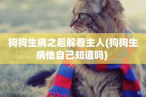 狗狗生病之后躲著主人(狗狗生病他自己知道嗎) 