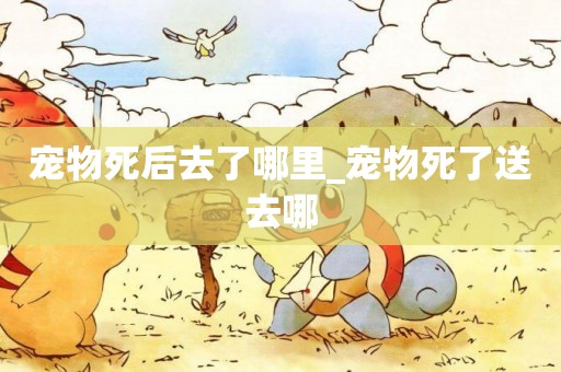 寵物死后去了哪里_寵物死了送去哪