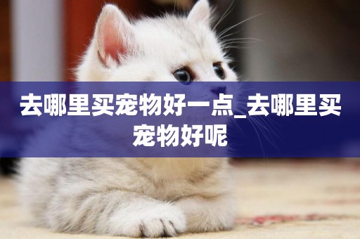 去哪里買寵物好一點_去哪里買寵物好呢