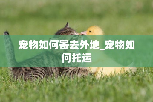寵物如何寄去外地_寵物如何托運