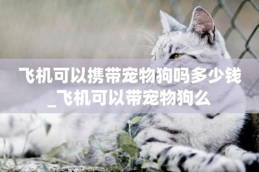 飛機可以攜帶寵物狗嗎多少錢_飛機可以帶寵物狗么