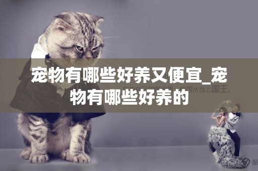 寵物有哪些好養又便宜_寵物有哪些好養的