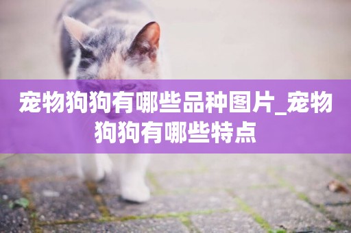 寵物狗狗有哪些品種圖片_寵物狗狗有哪些特點