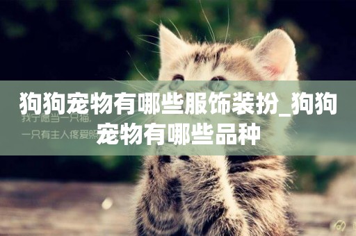 狗狗寵物有哪些服飾裝扮_狗狗寵物有哪些品種