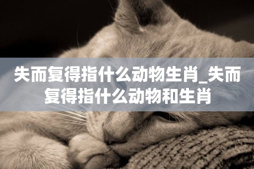 失而復得指什么動物生肖_失而復得指什么動物和生肖