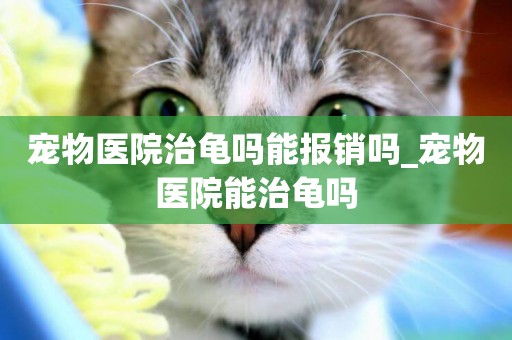 寵物醫院治龜嗎能報銷嗎_寵物醫院能治龜嗎