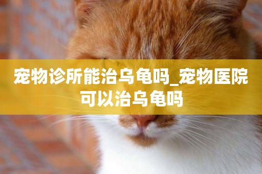 寵物診所能治烏龜嗎_寵物醫院可以治烏龜嗎