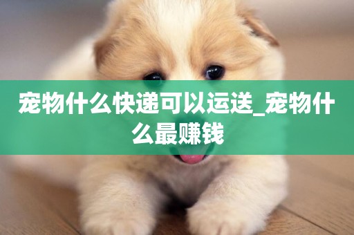 寵物什么快遞可以運送_寵物什么最賺錢
