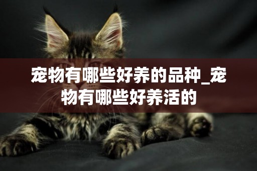 寵物有哪些好養的品種_寵物有哪些好養活的