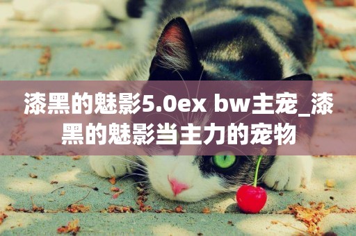 漆黑的魅影5.0ex bw主寵_漆黑的魅影當主力的寵物