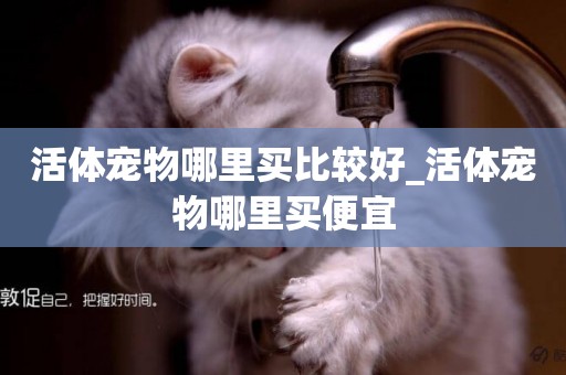 活體寵物哪里買比較好_活體寵物哪里買便宜