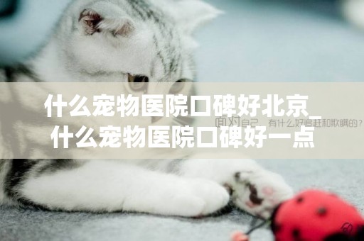 什么寵物醫院口碑好北京_什么寵物醫院口碑好一點