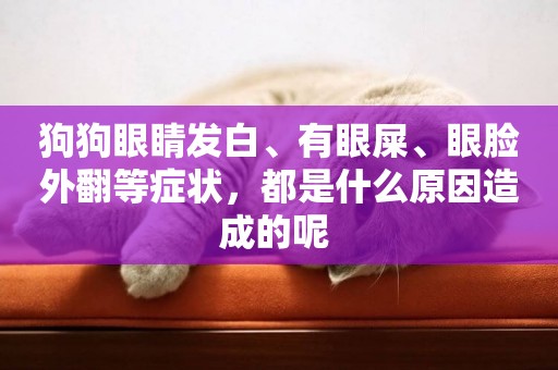 狗狗眼睛發白、有眼屎、眼臉外翻等癥狀，都是什么原因造成的呢 