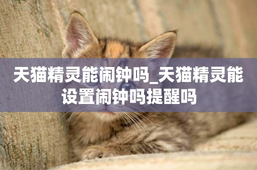 天貓精靈能鬧鐘嗎_天貓精靈能設置鬧鐘嗎提醒嗎