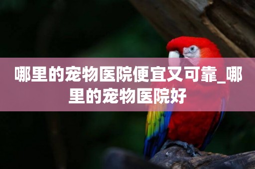 哪里的寵物醫院便宜又可靠_哪里的寵物醫院好