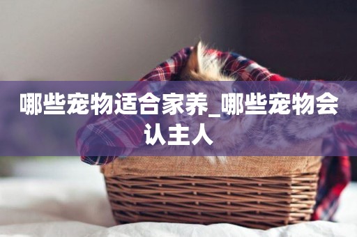 哪些寵物適合家養_哪些寵物會認主人