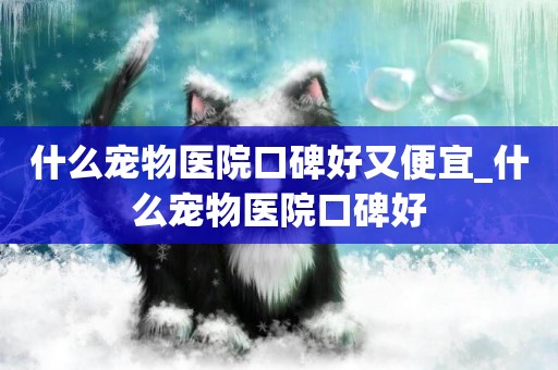 什么寵物醫院口碑好又便宜_什么寵物醫院口碑好
