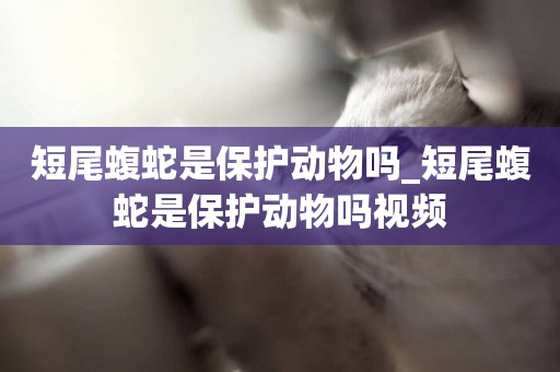 短尾蝮蛇是保護動物嗎_短尾蝮蛇是保護動物嗎視頻