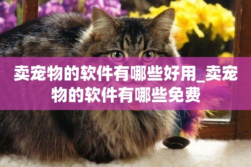 賣寵物的軟件有哪些好用_賣寵物的軟件有哪些免費