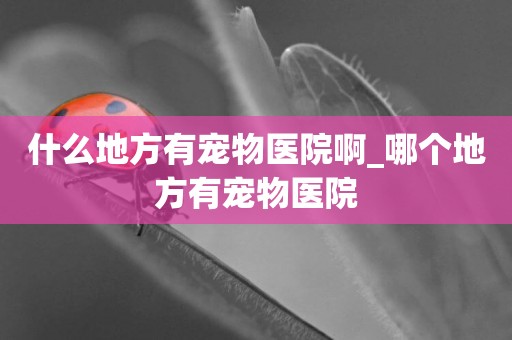 什么地方有寵物醫院啊_哪個地方有寵物醫院