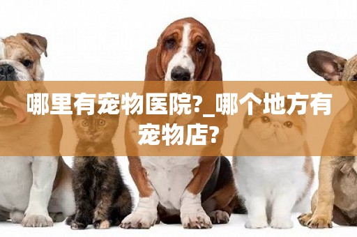 哪里有寵物醫院?_哪個地方有寵物店?