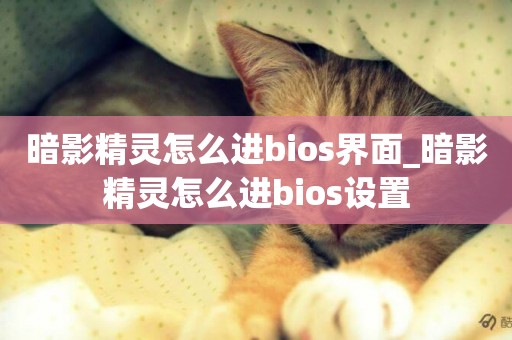 暗影精靈怎么進bios界面_暗影精靈怎么進bios設置