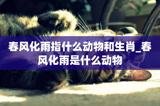春風化雨指什么動物和生肖_春風化雨是什么動物