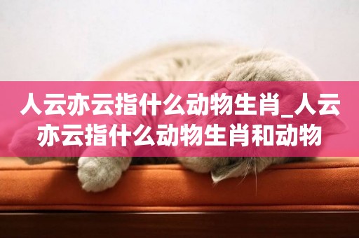 人云亦云指什么動物生肖_人云亦云指什么動物生肖和動物