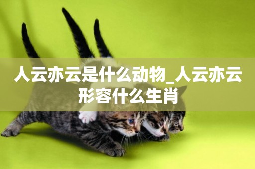 人云亦云是什么動物_人云亦云形容什么生肖